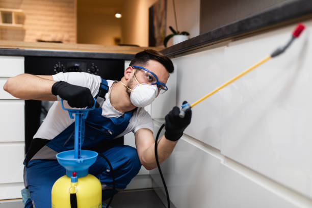 Best Termite Control Services  in Tangerine, FL