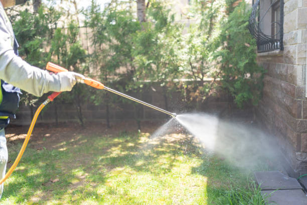 Best Wildlife Control Services  in Tangerine, FL