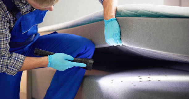 Best Pest Control for Businesses  in Tangerine, FL